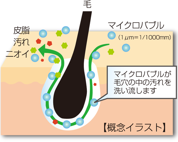 毛穴の汚れ